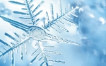 Wintercheck - Angebot